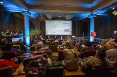 Kino Dunav25